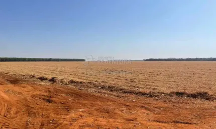 Excelente fazenda na Vila Barroso, com 206,66 Ha de área total!
