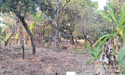 Área Central - Casa tipo chácara, mas na área urbana, tendo 2.250 m² de área, mais uma casa
