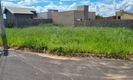 Terreno Residencial Venda Jardim Di Napoli Cedral-SP