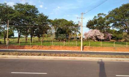 Terreno comercial para alugar na Morada Campestre, São José do Rio Preto 