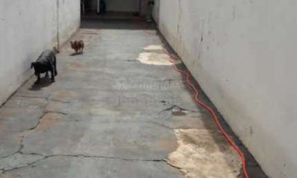 Casa de fundos para locação no bairro Don Lafayete Libânio de 02 dormitórios