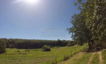 Fazenda em Seringueira no  interior Paulista no município de Auriflama.