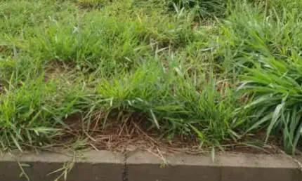 Terreno em condomínio fechado à venda na Quinta do Lago - Lac Léman, São José do Rio Preto 