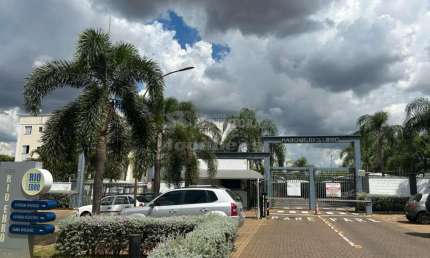 Apartamento com 2 quartos para alugar no Rios de Spagna, São José do Rio Preto 