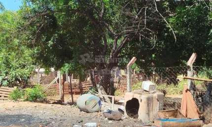 Chácara / sítio à venda no Estância Bosque Verde (Zona Rural), São José do Rio Preto 