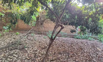 Nova granada - região central - lote com 377,65 m² bom local, residencial e comercial