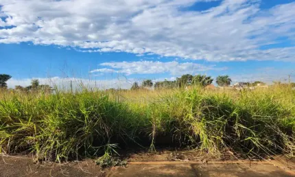 Anúncio de terreno em ótima localização no parque vila nobre