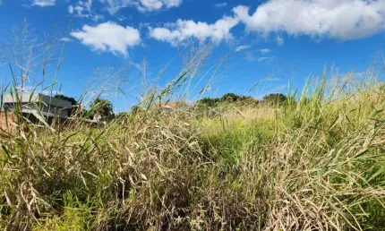 Terreno com 200,00m² - bairro parque vila nobre, são josé do rio preto/sp