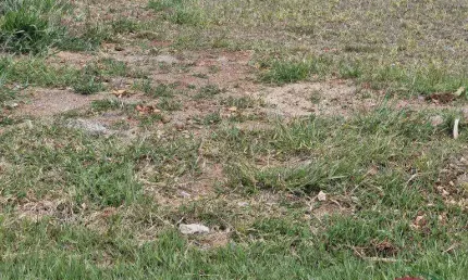 Terreno em condomínio fechado à venda na Estrada Municipal Augusto Zanoni, 10, Jardim Emicol, Itu