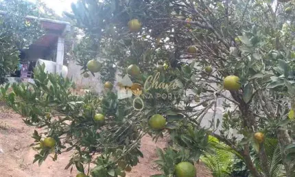 Chácara / sítio com 2 quartos à venda no Centro, Ibiúna 