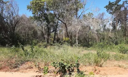 Terreno à venda na Alameda Tijuca, Vale do Igapó, Bauru