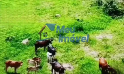 Sítio Luziânia 5 Quartos 1 2 Banheiros Vaga 5.5 Alqueires Pomar Galinheiro