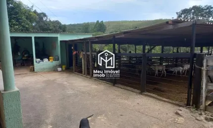 Fazenda Luziânia 5 Suítes 10 Alqueires Tanque de Peixe Curral Formada Gado