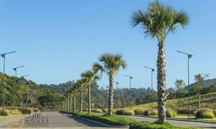 Oportunidade!!!   Terreno no Colinas de Camboriú  à venda, 311 m² por R$ 1.070.000