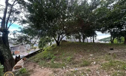 Terreno à venda, 487 m² por R$ 1.250.000,00 - Nações - Balneário Camboriú/SC