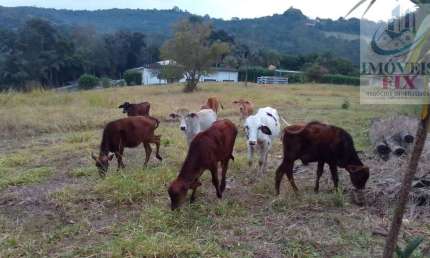Sítio para Venda em Jarinu, Chácaras de Recreio da Fazenda Estância São Paulo, 10 dormitórios, 2 suítes, 6 banheiros, 20 vagas