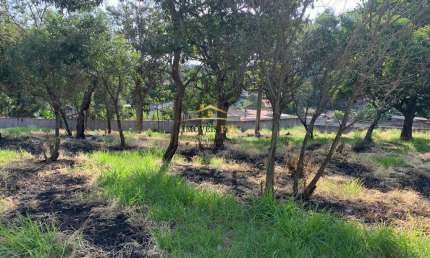Terreno para Venda em Campo Limpo Paulista, Parque Niágara