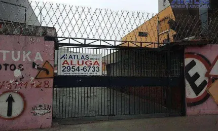 Terreno para alugar, 440 m² por R$ 10.765/mês - Vila Maria - São Paulo/SP