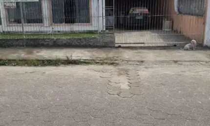 Casa à venda com 4 quartos 1 suíte, 180m² em Caminho Novo Palhoça