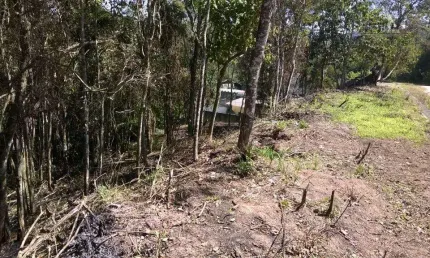 Terreno residencial à venda, Jardim São Jorge, Arujá.
