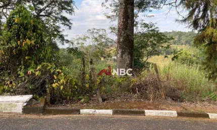 Terreno à venda, 6000 m² por R$ 600.000,00 - Penhinha - Arujá/SP