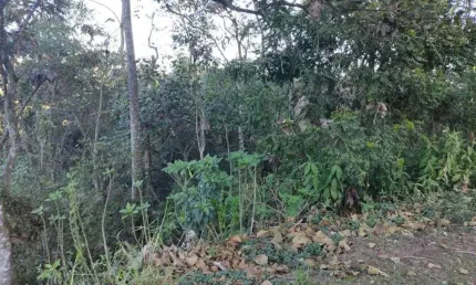 Terreno à venda, 450 m² por R$ 420.000,00 - Condomínio Country Club - Arujá/SP