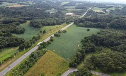 Terreno à venda na Rua Pr-423, Lagoa Suja, Araucária