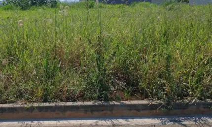 Terreno à venda no Portal Ville Jardins, Boituva 