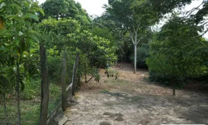 Chácara / sítio com 3 quartos à venda no Jardim Santo Antônio, Boituva , 3000 m2 por R$ 700.000