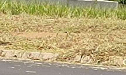 Terreno à venda no Jardim São Francisco II, Cerquilho  por R$ 150.000
