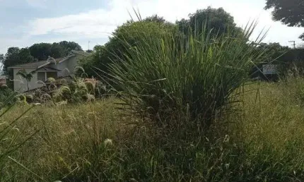 Terreno Comercial de 550,77 m² na Morada dos Ipês II em Boituva-SP: Venda ou Locação!