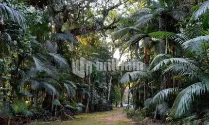Chácara / sítio à venda no Lageado Alto, Guabiruba  por R$ 528.000