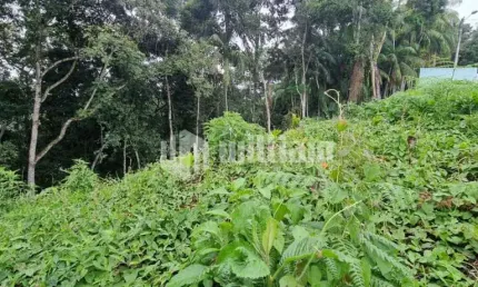 Terreno à venda no azambuja, brusque  por r$ 580.000