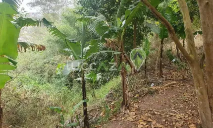 Terreno à venda em Jacareí-SP, no bairro Jardim Vista Verde, com 294,00 m² de área. Aproveite esta oportunidade!