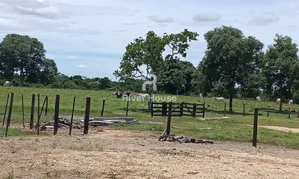 Fazenda à venda, na Região do Municipio de Santo Antonio do Leverger  MT