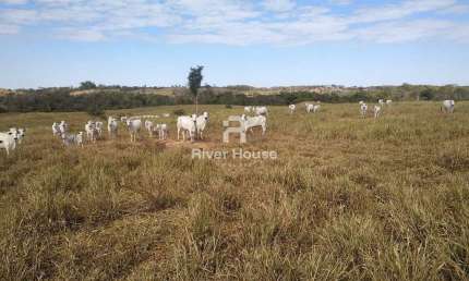 Fazenda   à venda  finalidade pecuaria formada, localizada em  Bom jardim,  Região Nobres , MT