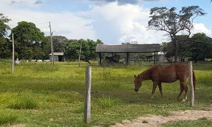 Fazenda com 1 sala à venda na Rua Coronel Botelho, 10, Centro, Nossa Senhora do Livramento