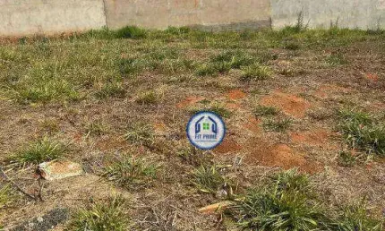 Terreno à venda, 253 m² por R$ 220.000 - Residencial Maria Julia - São José do Rio Preto/SP