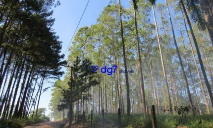 Terreno à venda, 237000 m² por R$ 23.700.000 - Centreville - Cotia/SP