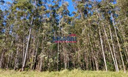 Chácara / sítio à venda em Mombuca, Santa Branca  por R$ 2.090.000