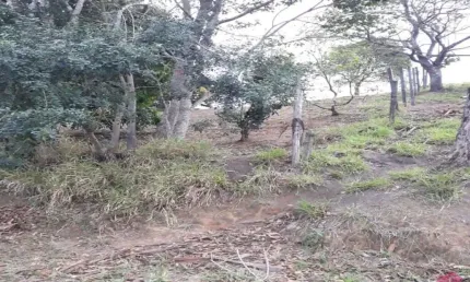 Chácara / sítio à venda no jardim panorama, jacareí  por r$ 380.000