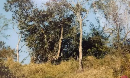 Terreno à venda no Estância Porto Velho, Jacareí  por R$ 80.000