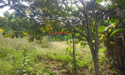 Chácara / sítio com 2 quartos à venda na zona rural, santa branca  por r$ 220.000