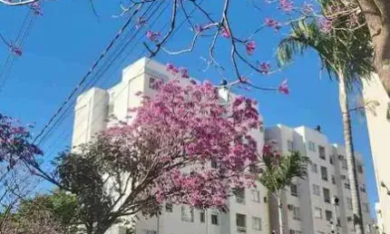 Apartamento padrao a venda, jardim america, maringa, pr