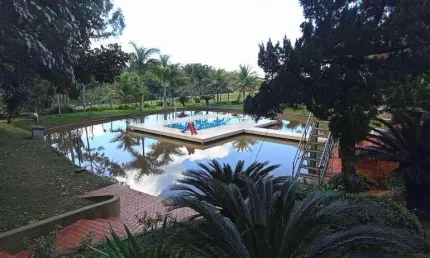 Chácara / sítio com 5 quartos à venda na Rodovia Br 376, 175, Centro, Mandaguaçu