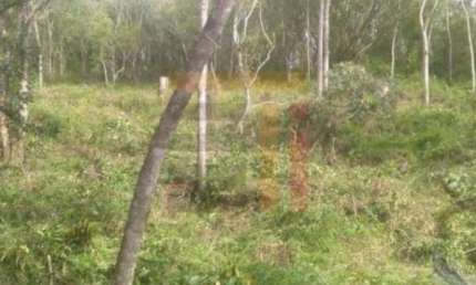 Terreno à venda na Waldemar Fiqueiro, 1, João Paulo, Florianópolis por R$ 1.915.000