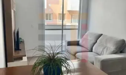 Apartamento com 2 quartos à venda na rodovia virgílio várzea, 4570, canasvieiras, florianópolis por r$ 595.000