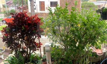Casa com 4 quartos à venda na Rua Lloyd de Andrade Polidoro, Ipanema, Porto Alegre