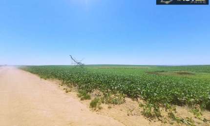 Fazenda de Excelência no RS 2.100 hectares Cachoeira do Sul