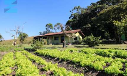 Chácara / sítio com 3 quartos à venda no Centro, Ilhota , 300 m2 por R$ 3.000.000